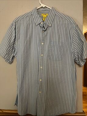 Duck Head Men’s Light Blue and White Striped Short-Sleeve Button-Down Shirt